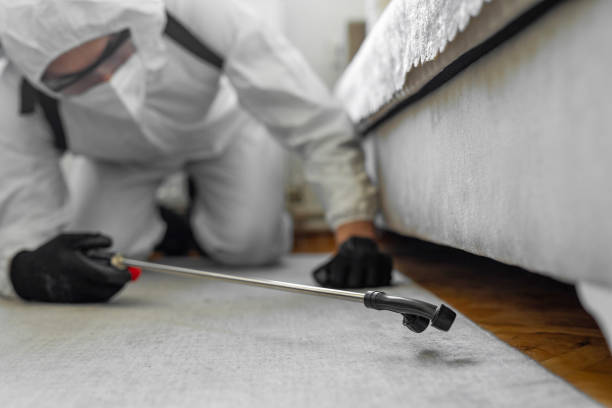 Professional Bed Bug Control technician working in The Hills, NJ