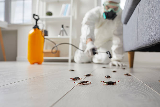 Trusted Rodent Control service in The Hills, NJ - Nex Pest Control